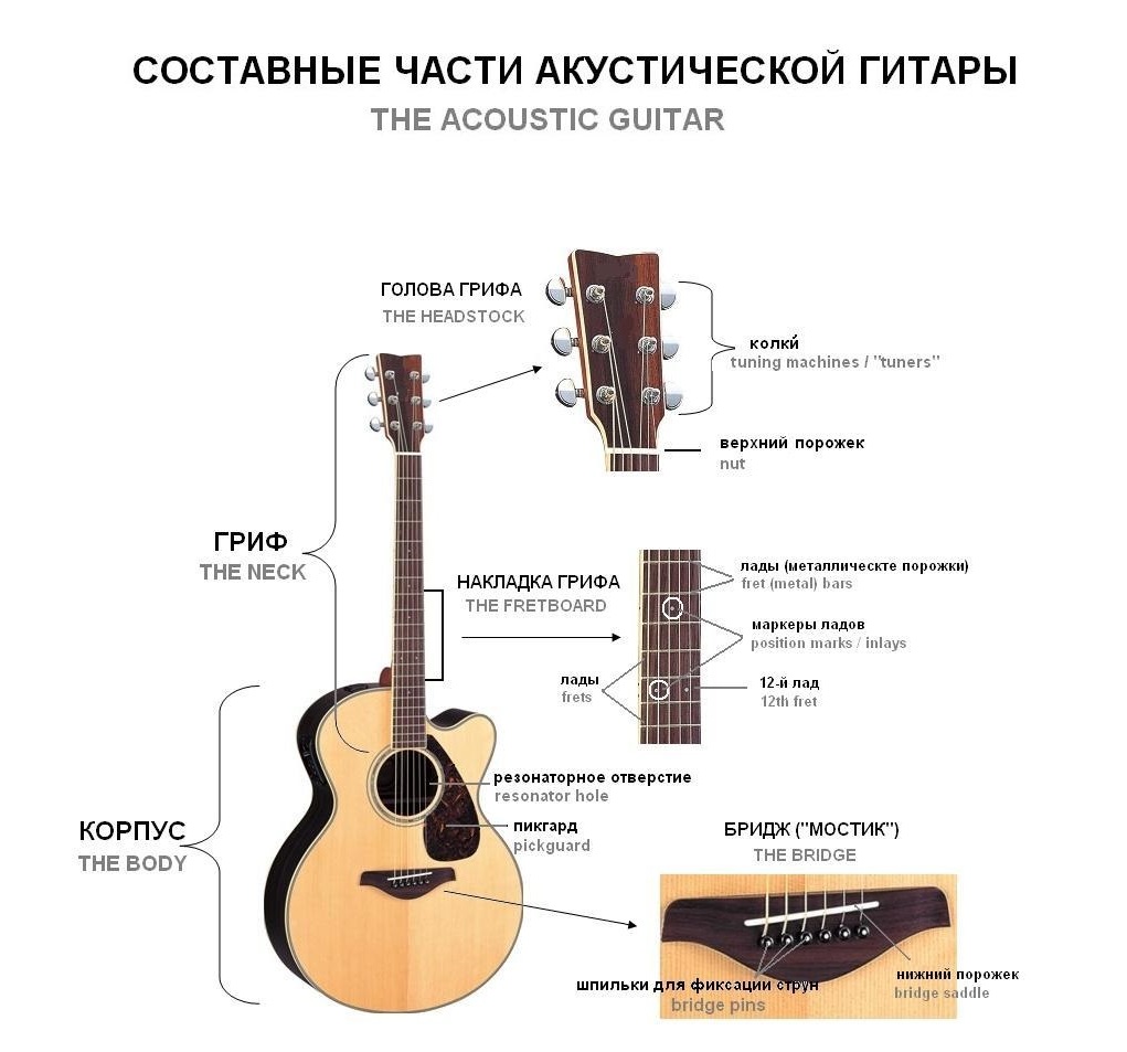 акустическая гитара отличия
